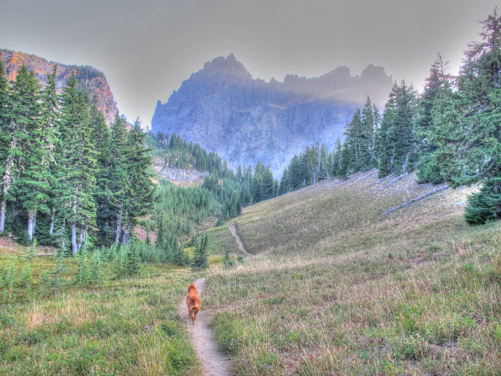 Canyon Creek Meadows Hike - Three FingereD Jack 1000x750