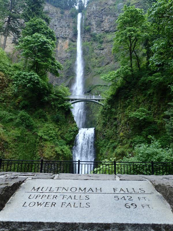 are dogs allowed at multnomah falls