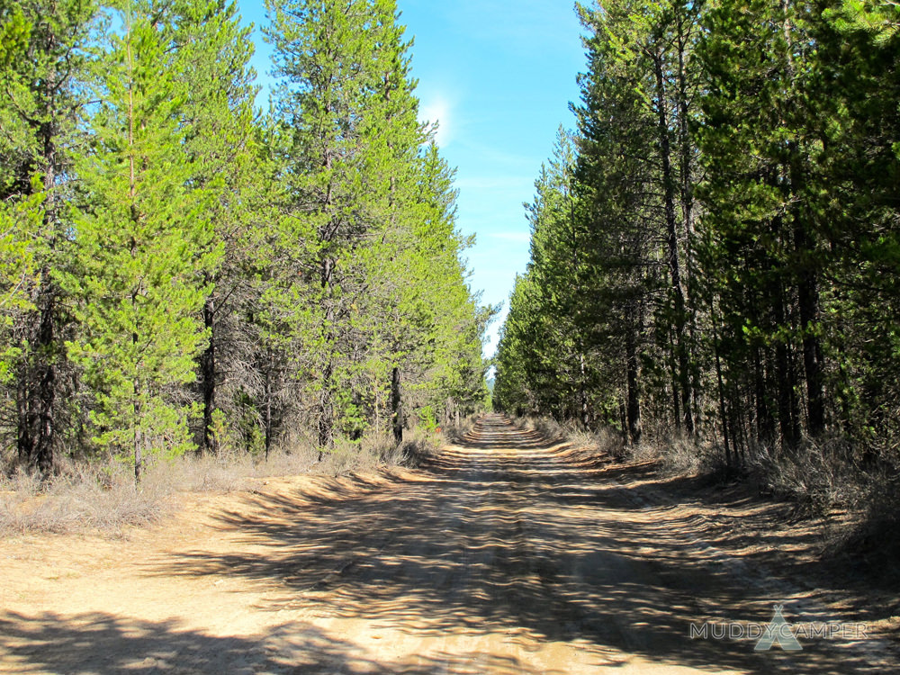 Bull Bend Campground - Deschutes River, Oregon