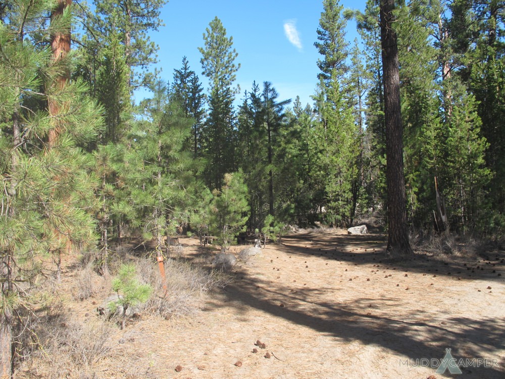 Pringle Falls Campground - Deschutes River, Central Oregon