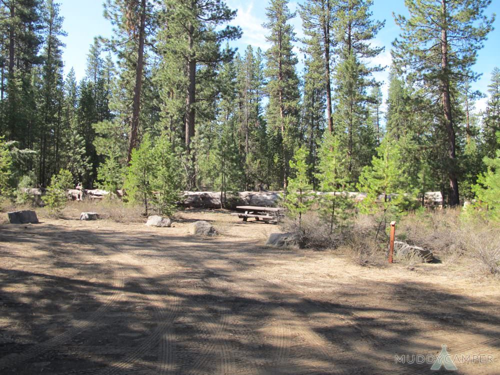 Pringle Falls Campground - Deschutes River, Central Oregon