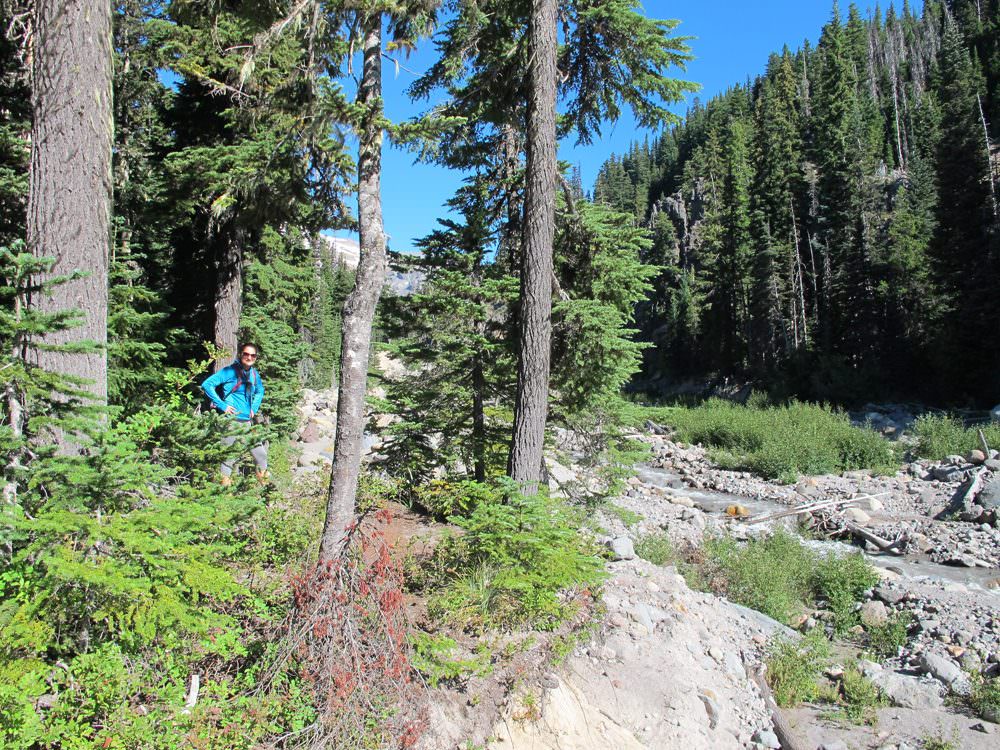 elk meadows hike mt hood