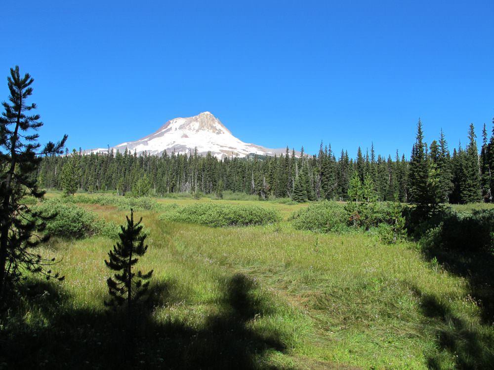 Elk meadows on sale hike mt hood